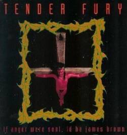 Tender Fury : If Anger Were Soul, I'd Be James Brown
